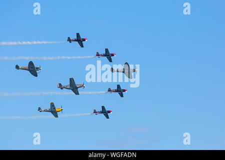 Bournemouth, Dorset UK. 1. September 2019. Ultimative Warbird Flüge (Buchon, Spitfire, P-47D Thunderbolt und Mustang) werden durch die Klingen wie die acht auf eine ehrfürchtige Anzeige die Massen am letzten Tag der Bournemouth Air Festival auf einem schönen warmen sonnigen Tag zu begeistern, beigetreten. Credit: Carolyn Jenkins/Alamy leben Nachrichten Stockfoto