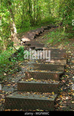 Woodland Schritte mit anti-slip Kabel nach oben durch einen Waldweg (Hochformat) Stockfoto