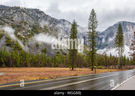 Die natürliche Landschaft des Yosemite National Park, Kalifornien. USA Stockfoto