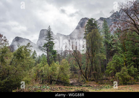 Bewölkt Landschaft des Yosemite National Park, Kalifornien. USA Stockfoto