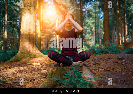 Frau sitzt auf einem Baumstumpf im Wald zu meditieren, Yoga zu üben. Stockfoto
