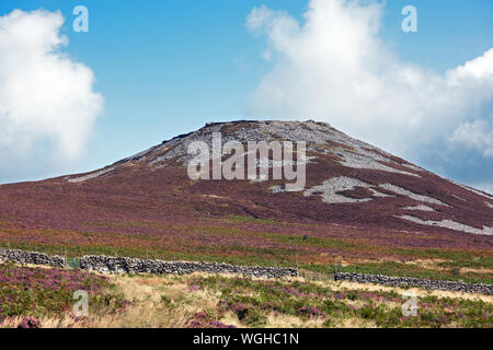 Tre'r Ceiri ist eine eiserne Alter hillfort Zurück zu über 200 v. Chr. zurückgeht. Es ist an der Nordküste der Halbinsel Llŷn im Norden von Wales. Stockfoto