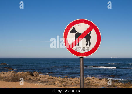 Küste des Atlantischen Ozean mit einer Keine Hunde, außer Blindenhunde. Kleine Wellen. Blue Sky. Porto, Portugal. Stockfoto