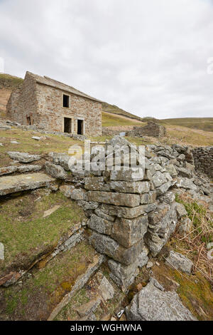 Die verlassenen Ruinen von crackpot Hall, in der Nähe von Keld, mit Blick auf den Fluss Swale und Kisdon Schlucht, Swaledale, Yorkshire Dales National Park, Großbritannien Stockfoto