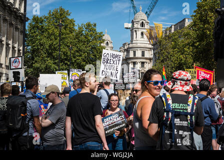 Demonstranten auf der Whitehall, Protest gegen die Aussetzung des Parlaments, London, UK, 31/08/2019 Stockfoto