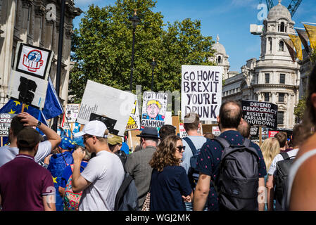 Demonstranten auf der Whitehall, Protest gegen die Aussetzung des Parlaments, London, UK, 31/08/2019 Stockfoto