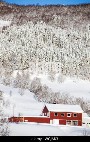 Traditionelle norwegische Holzhaus und Wald in der Ferne. Lofoten. Norwegen. World Travel Stockfoto