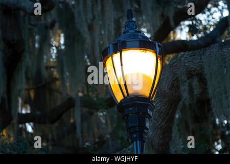 Straßenlaterne bei Dämmerung mit spanischem Moos. Stockfoto