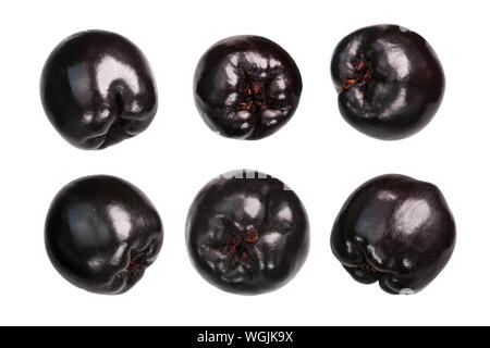 Schwarz chokeberries (Aronia melanocarpa Früchte), isoliert Stockfoto