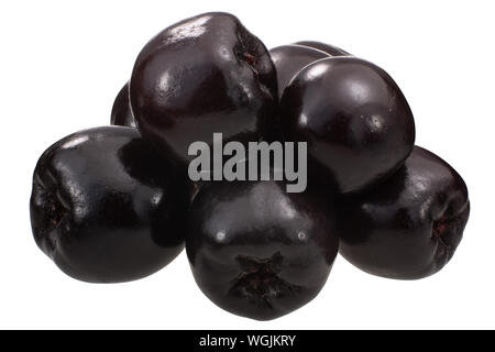 Schwarz chokeberries (Aronia melanocarpa Obst), Haufen, isoliert Stockfoto