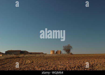 Campos de Lavanda en Villardefrades, Provincia de Valladolid, Castilla y Leon, Spanien. fotografia nocturna Stockfoto