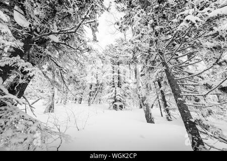 Mt. Kurodake Hokkaido, Japan winterlichen Wanderweg. Stockfoto