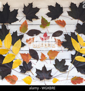 Herbst Wort und Blätter auf einem Holzbrett, weisser Hintergrund. Herbst Jahreszeit Konzept. Selektive konzentrieren. Stockfoto
