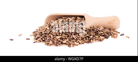 Mariendistel, der Saatgut in einem Löffel aus Holz, auf weißem Hintergrund. Silybum marianum, Scotch Thistle oder Marian Thistle. Close-up. Stockfoto