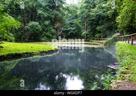 Trout Farm Teich See in Szalajka-völgy Szalajka-tal, Ungarn Stockfoto