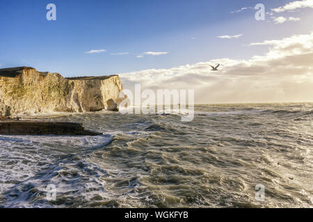 Rauhe See und Kreidefelsen im Abendlicht Stockfoto