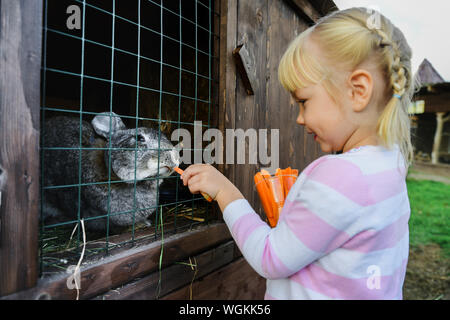 Kleines Mädchen feeds Kaninchen Möhren in einem Käfig bei geringer Tiefenschärfe Stockfoto