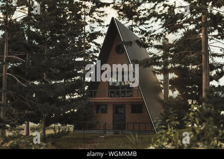 3D-Rendering von A-Frame Holzhütte im Wald von Pinien Stockfoto