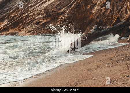 Die Wellen des Ozeans brechen gegen einen alten toten Baum Stockfoto