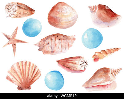 Muscheln und Perlen Hand gezeichnet Aquarell raster Abbildung. Seesterne, Jakobsmuscheln, Triton isoliert Pack. Edelstein Aquarelle zeichnen. Underwate Stockfoto