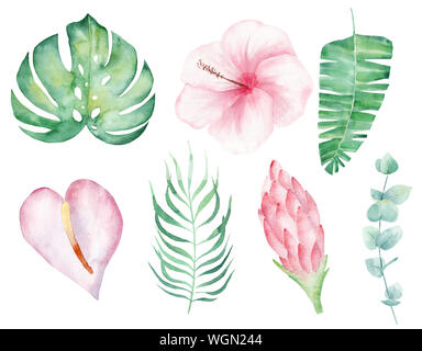 Tropische Blumen Hand gezeichnet Aquarell raster Abbildung. Regenwald Blätter isoliert Cliparts. Magnolia, Orchidee und Liana Aquarelle zeichnen. Summe Stockfoto