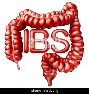 IBS medizinisches Konzept als schmerzhafte Verdauung oder Reizdarm und Darm Schmerzen oder intestinale Beschwerden Entzündung Problem oder Verstopfung. Stockfoto