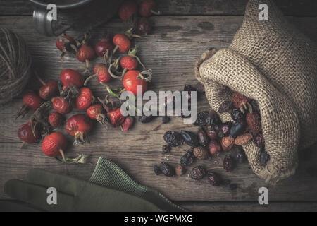 Hagebutte Beeren, Sack von trockenen Sweet Briar Früchte, Handschuhe und rusric Cup. Ansicht von oben. Stockfoto