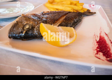 Gegrillte vergoldeten Kopf Strahl Fisch in einem Restaurant in der Stadt Saranda, Albanien serviert. Stockfoto