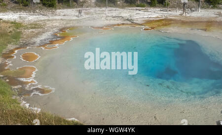 Weite Einstellung auf silex Feder in Yellowstone Stockfoto