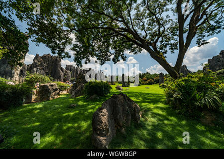 Der Steinwald in Kunming, China Stockfoto