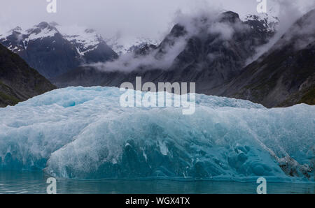 Mc Bride Gletscher, Glacier Bay National Park, Alaska. Stockfoto