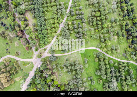 Ansicht von oben Luftbild aus fliegende Drohne von schönen Sommer Landschaft mit Apple Orchard und Wanderwege Stockfoto