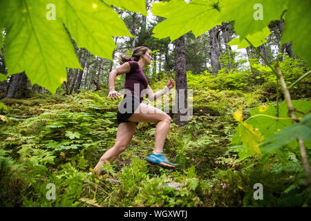 Gina Valdes, Seward, Alaska. Stockfoto