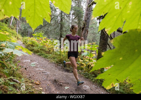 Gina Valdes, Seward, Alaska. Stockfoto
