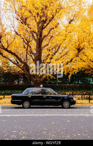 DEC 5, 2018 Tokyo, Japan - Tokyo black Taxi Auto Park auf Herbst lebendige gelb ginkgo Baum Straße Jingu Gaien avanue Stockfoto