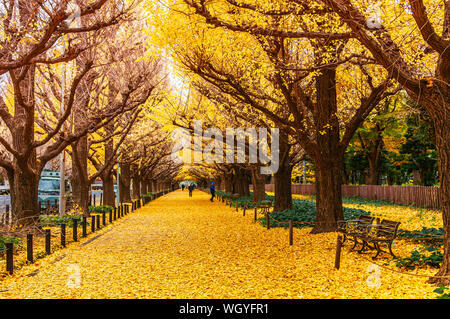 DEC 5, 2018 Tokyo, Japan - Tokio gelb Ginkgobaum Tunnel bei Jingu Gaien avanue im Herbst mit touristischen genießen Landschaft. Berühmten Attraktion im November ein Stockfoto