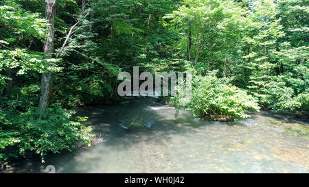 Oirase Stream in sonniger Tag, eine schöne Natur Szene im Sommer. Fließenden Fluss, grüne Blätter, bemoosten Felsen in Towada Hachimantai Nationalpark, Aomori Stockfoto