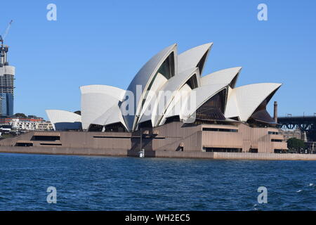 Segeln rund um Opera House Stockfoto