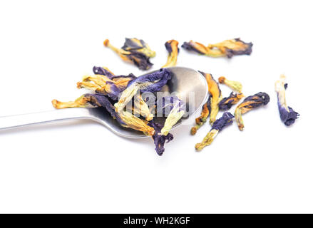 Trockene Butterfly pea Kaffee, blau Tee, asiatische, clitoria sind Ternate, Thailand auf weißem Hintergrund Stockfoto