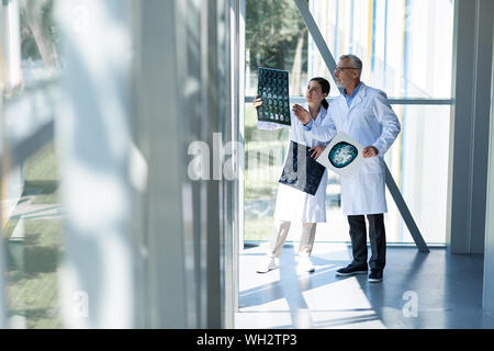 Fröhlicher junger assistant Prüfung Ergebnisse der Röntgen Stockfoto