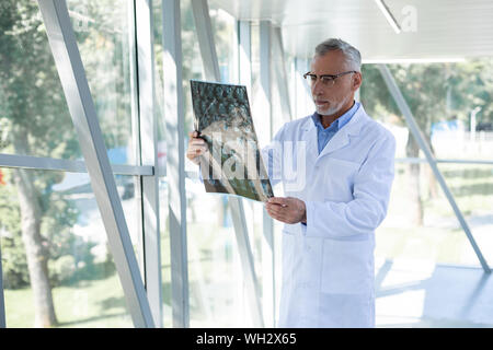 Aufmerksame grauhaarige Doktor an X-ray Bild Stockfoto