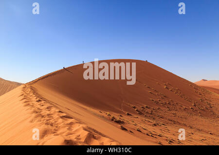 Klettern auf den Gipfel der Düne 45, Wüste Namib, Namibia Stockfoto