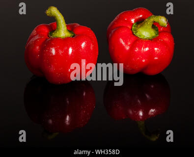 Zwei rote Paprika mit ihrer Reflexion auf einer Glasoberfläche. Wassertropfen auf Paprika, die frische sichtbar. Stockfoto