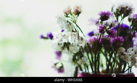 Bukett von getrockneten violett, rosa und weißen Wildblumen. Helle Blüten leuchtet durch Sonnenlicht. Weiche selektiven Fokus, Makro Blumen. Foto Hintergrund Stockfoto