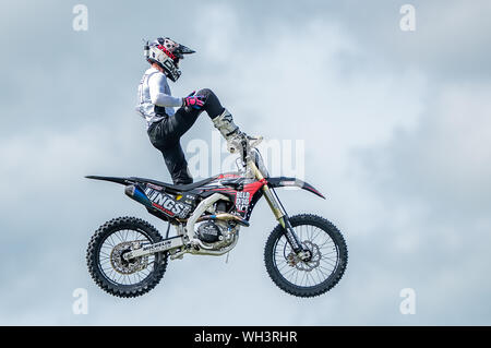 Bolddog Lings Stockfoto