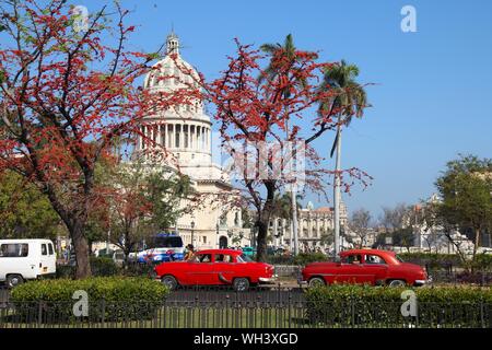 Havanna, Kuba - Februar 25, 2011: Leute fahren mit dem klassischen amerikanischen Autos in Havanna. Kuba hat eine der niedrigsten Auto - Pro-Kopf-Rate (38 pro 1000 Personen in Stockfoto