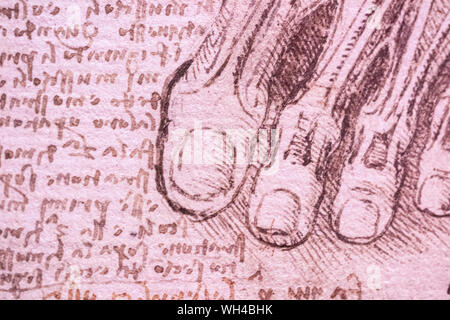 Ausstellung von Leonardo Da Vinci ist erstaunlich, Zeichnungen in London, die den 500. Jahrestag des Todes von Leonardo da Vinci. Stockfoto