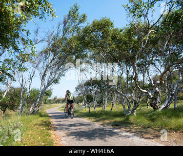 Die Menschen genießen Sie die Natur beim Reiten Fahrrad auf der deutschen Insel Norderney an sonnigen Sommertag im August Stockfoto