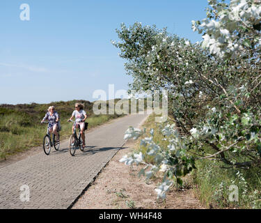 Die Menschen genießen Sie die Natur beim Reiten Fahrrad auf der deutschen Insel Norderney an sonnigen Sommertag im August Stockfoto