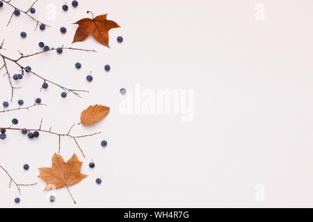 Kreative trockenen Baum mit vergilbten Blätter auf weißem Hintergrund Stockfoto